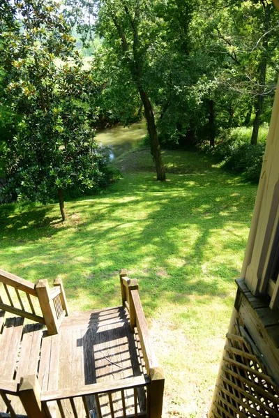 DSC_2745 (Large).JPG